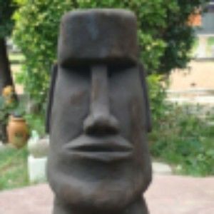 Meet your Posher, Austin